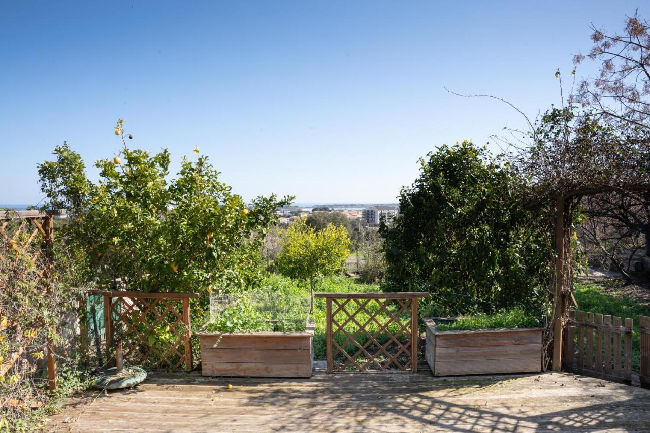 דירות פיוריאני Corsica Fiurita מראה חיצוני תמונה